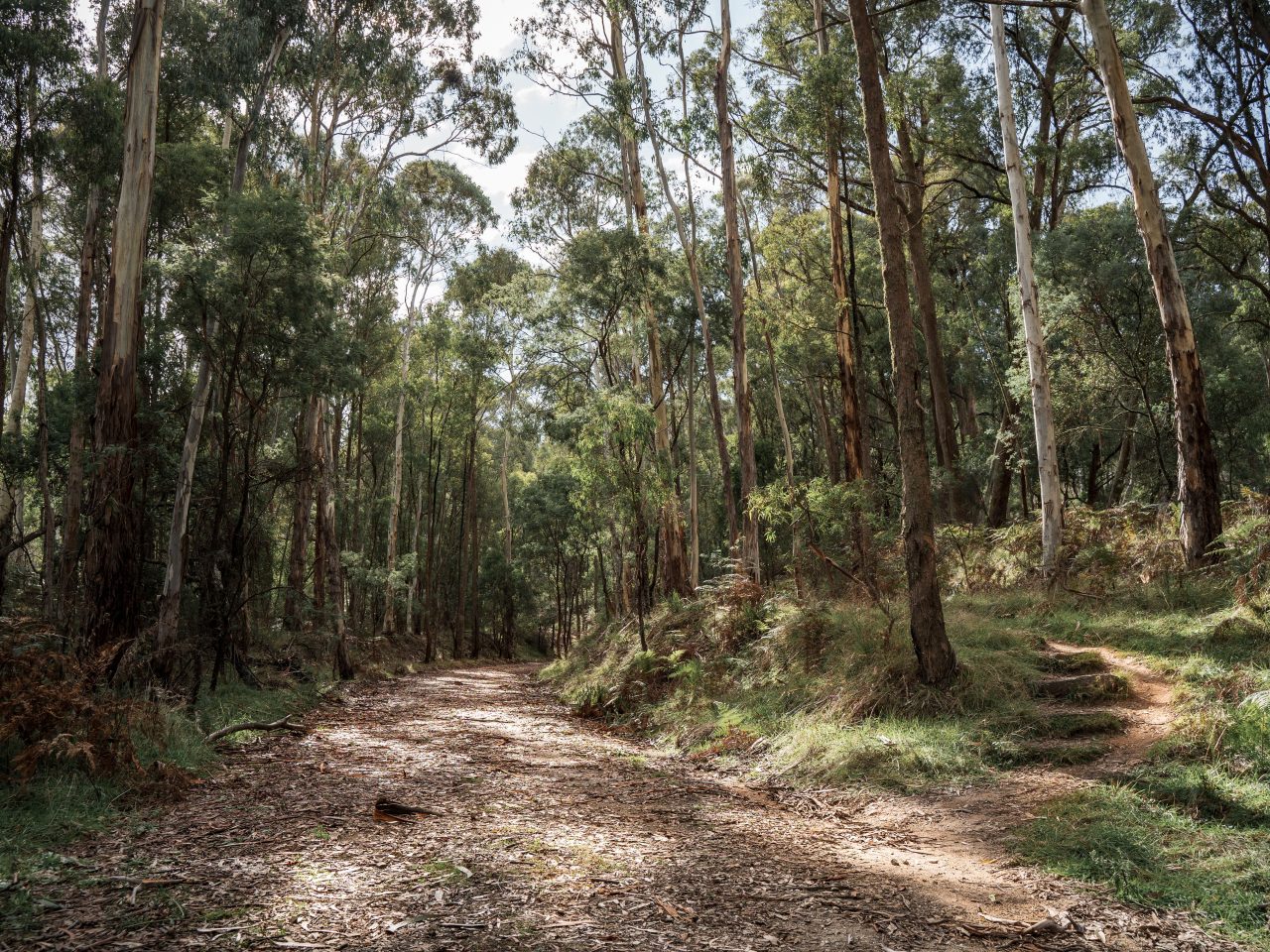 Strathfieldsaye